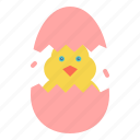 chicken, easter, egg, shell