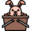 rabbit, easter, bunny, animals, basket