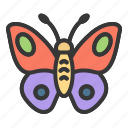 animal, bug, butterfly, easter, insect, spring