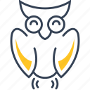 education, owl, science, study