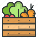 basket, carrot, farm, lettuce, vegetable