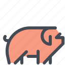 animal, farm, livestock, pig