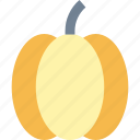 agriculture, farm, farming, pumpkin