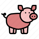 animal, farm, farming, pig