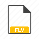 file, file format, flv