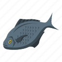 fish, isometric