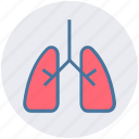 anatomy, body, health, lung, lung cancer, lungs, organ