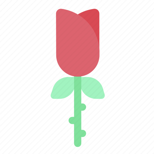 Rose, nature, garden, plant, floral, flower icon - Download on Iconfinder