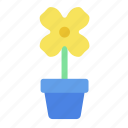 vase, flower, nature, garden, plant, floral