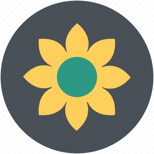 Flower, gerbera, gerbera daisy, gerbera flower, nature icon - Download on Iconfinder