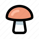 cooking, food, fungal, fungus, gastronomy, mushroom, mushrooms