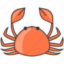 crab, restaurant, sea, seafood