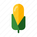 corn, food, round