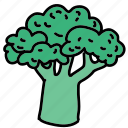 brocolli, food, meal, tree, vegetable