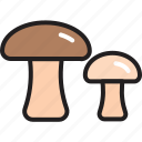 amanita, champignon, food ingredient, fungi, mushroom, vegetable, vegetarian