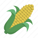 cob, corn, farm, farmer, food, grain, on