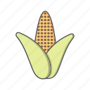 corn, maize, plant