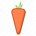 carrot, food, vegetable