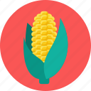 corn, food, meal