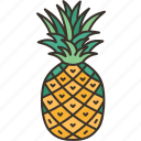 pineapple, fruit, fresh, juicy, tropical