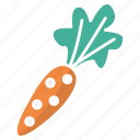 carrot, food, rabbit, vegetable