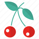 cherries, food, fresh, fruit