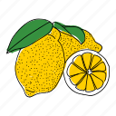 citrus, food, fruit, illustration, lemon, yellow