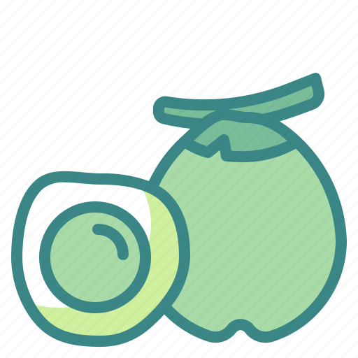 Coconut, food, fruit, organic, vegetarian icon - Download on Iconfinder