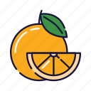 citrus, drink, filled, fruit, juice, orange, outline