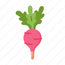 radish, vegan, vegetable, food