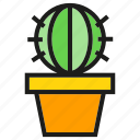 cactus, garden, plant, pot