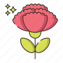 carnation, flower, nature, plant