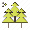 fir, forest, tree, wood