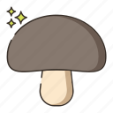 food, mushroom, mushrooms, vegetable