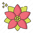 floral, flower, plant, poinsettia