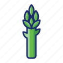 asparagus, food, vegetable