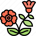 cherokee, rose, flower, garden, nature