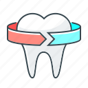 medicine, stomatology, tooth