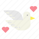 bird, dove, peace, pigeon