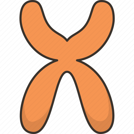 Chromosome, dna, genetic, biology, medical icon - Download on Iconfinder