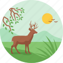 africa, animal, deer, jungle, wild