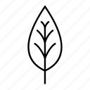 forest, leaf, nature, outline, plant