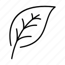 forest, leaf, nature, outline, plant