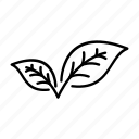 environment, forest, leaf, nature, outline, plant