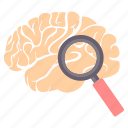 brain, search, find, glass, magnifier, magnifying, zoom