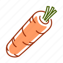 carrot, food, root, vegetable