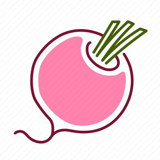 Food, radish, root, vegetable icon - Download on Iconfinder