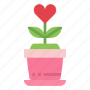 love, plant, heart, valentine, pot, botanical, flower