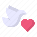 animal, bird, dove, heart, wedding