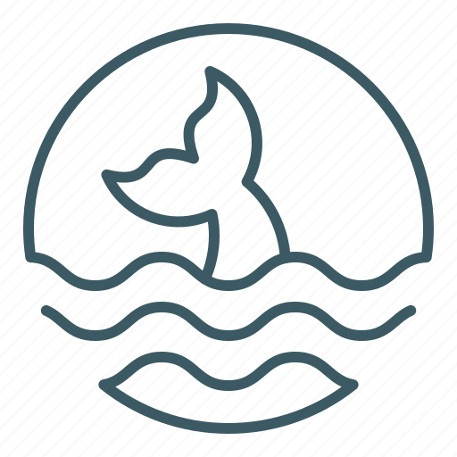 Fin, fish, ocean, sea, whale icon - Download on Iconfinder